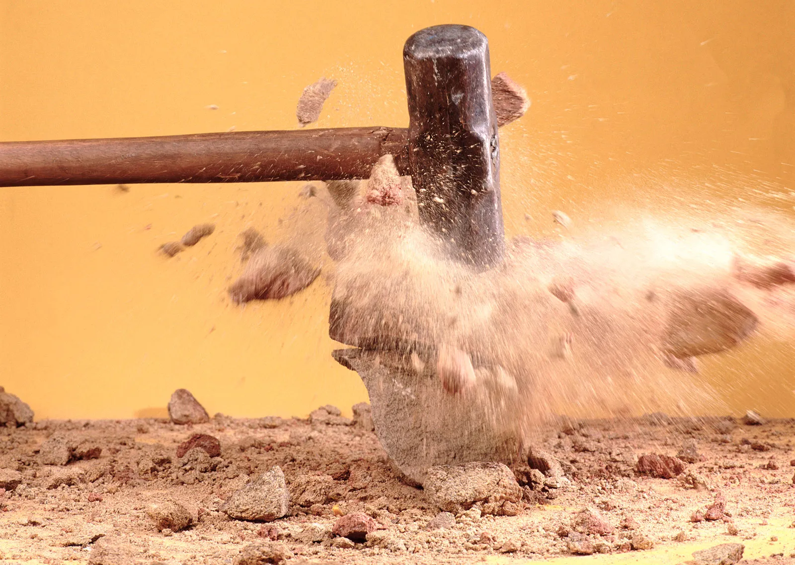 We Should Stop Preventing All Wildfires